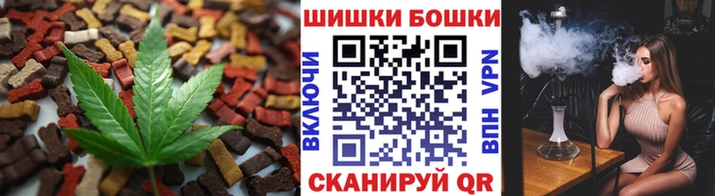Купить  Орлов  Canna-Cookies марихуана 
