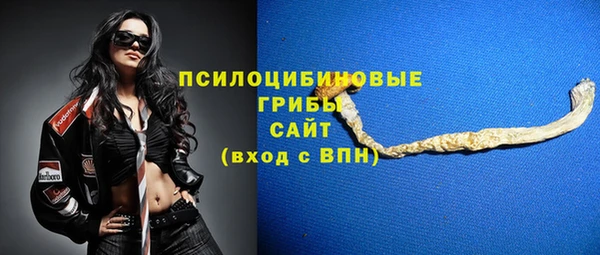 скорость Лиски