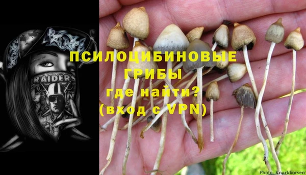 скорость Лиски