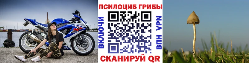 Псилоцибиновые грибы Cubensis Орлов